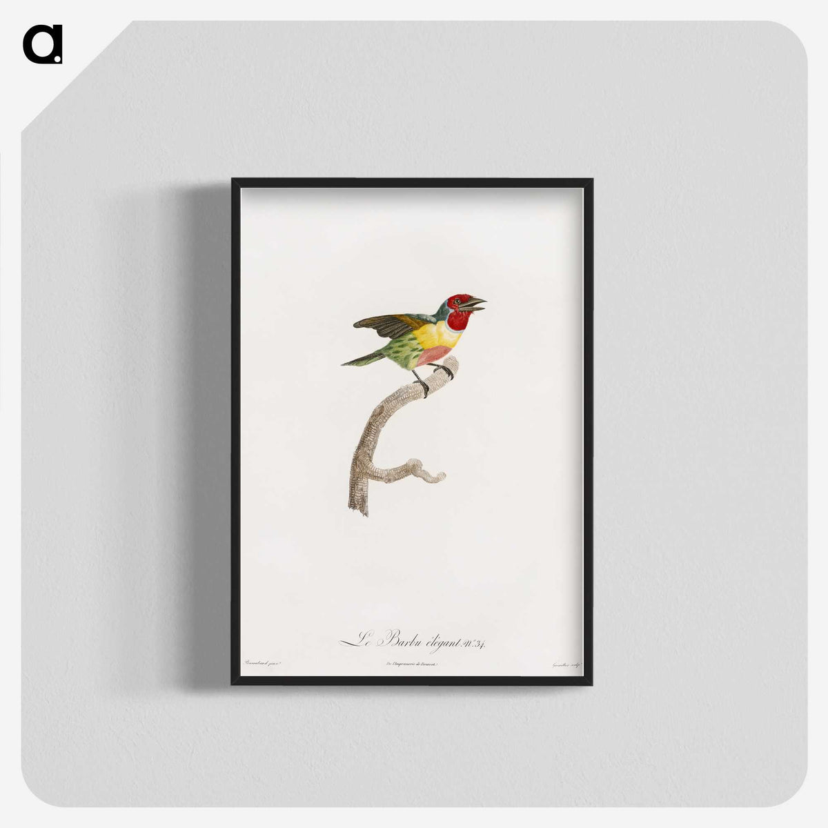 1-35_Des-Oiseaux-de-Paradis_blk-crop