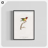 1-35_Des-Oiseaux-de-Paradis_blk-crop