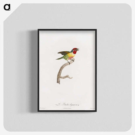 1-35_Des-Oiseaux-de-Paradis_blk-crop