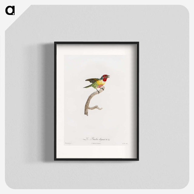 1-35_Des-Oiseaux-de-Paradis_blk