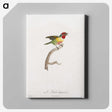1-35_Des-Oiseaux-de-Paradis_canvas
