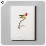 1-35_Des-Oiseaux-de-Paradis_canvas