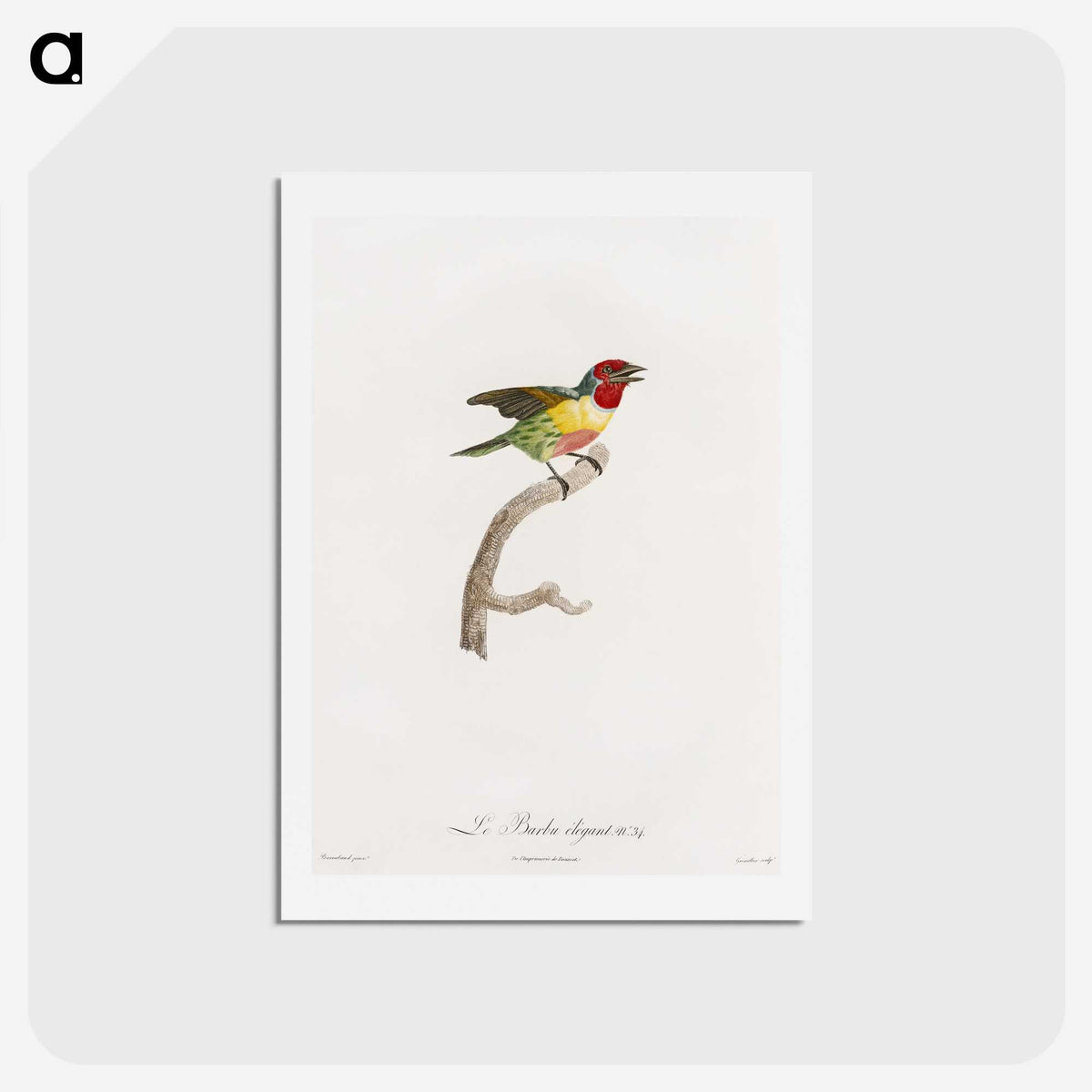 1-35_Des-Oiseaux-de-Paradis_hagaki