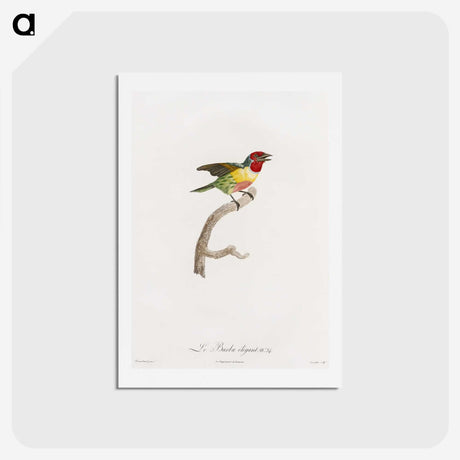 1-35_Des-Oiseaux-de-Paradis_hagaki