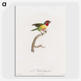 1-35_Des-Oiseaux-de-Paradis_picture-crop