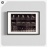 1-35_Eadweard-Muybridge_blk