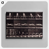 1-35_Eadweard-Muybridge_canvas