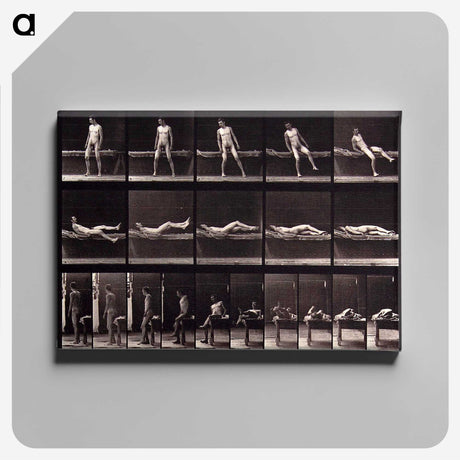 1-35_Eadweard-Muybridge_canvas