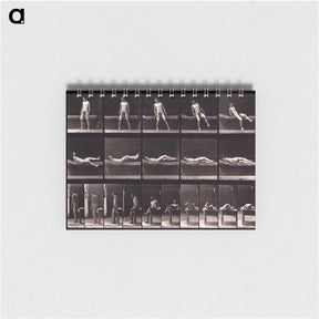 1-35_Eadweard-Muybridge_memo