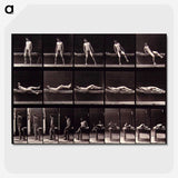 1-35_Eadweard-Muybridge_picture-crop