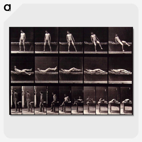1-35_Eadweard-Muybridge_picture-crop