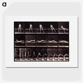 1-35_Eadweard-Muybridge_picture