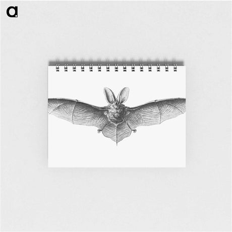 アートメモ帳-Vintage bat illustration on white background - エルンスト ヘッケル Memo.