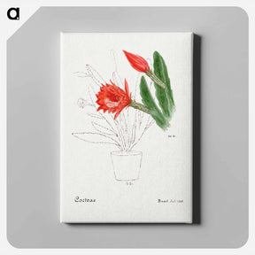 アートパネル-Orchid Cactus
 - サボテン科 Canvas.