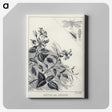 1-35_Favorite-Flies-and-Their-History_canvas