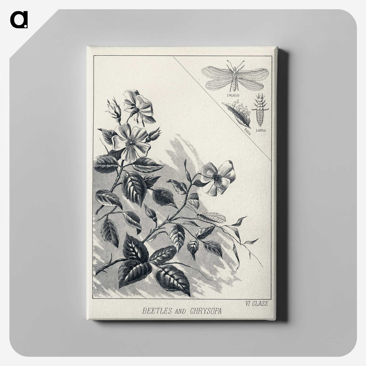 1-35_Favorite-Flies-and-Their-History_canvas