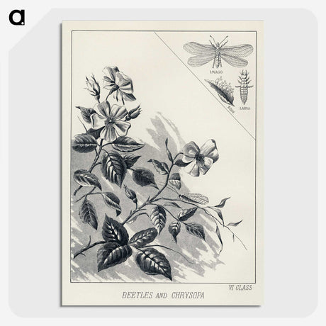 1-35_Favorite-Flies-and-Their-History_picture-crop