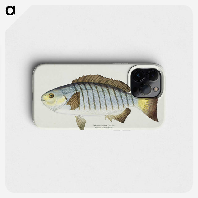1-35_Frank-Edward-Clarke_phone