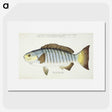 1-35_Frank-Edward-Clarke_picture