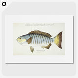 1-35_Frank-Edward-Clarke_picture