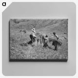 1-35_Frederick-Charles-Brockett_canvas