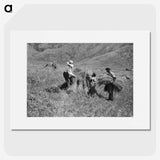 1-35_Frederick-Charles-Brockett_picture