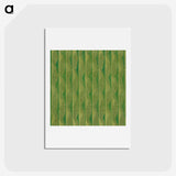 1-35_Furuya-Korin_hagaki