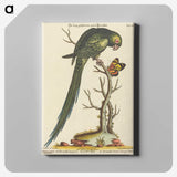 1-35_George-Edwards_canvas