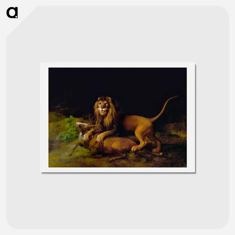 アートポストカード-A Lion Attacking a Stag
 - ジョージ スタッブス Postcard.