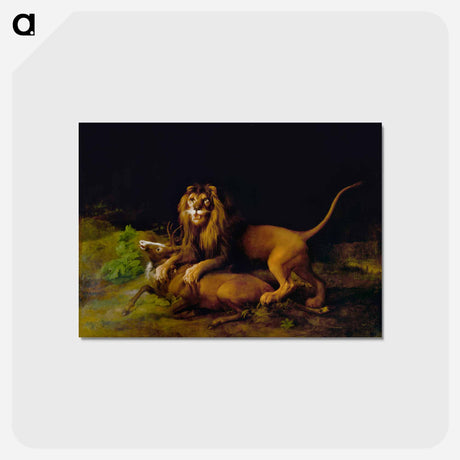 アートポストカード-A Lion Attacking a Stag
 - ジョージ スタッブス Postcard.