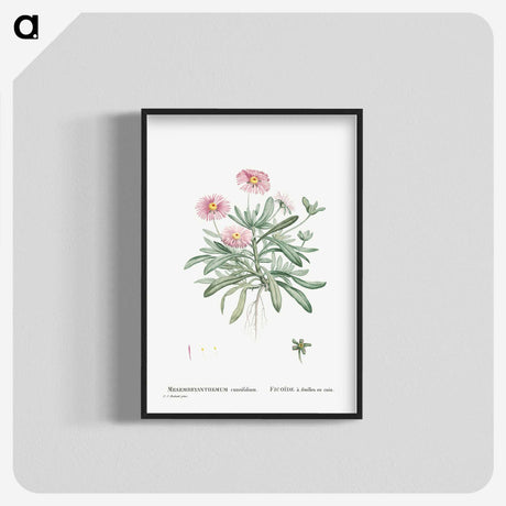 1-35_Histoire-des-Plantes-Grasses_blk-crop