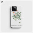 1-35_Histoire-des-Plantes-Grasses_phone