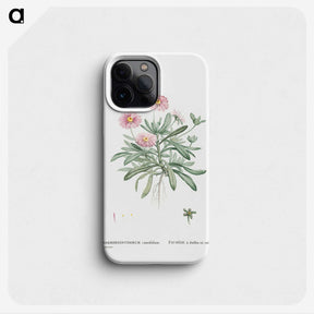 1-35_Histoire-des-Plantes-Grasses_phone