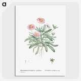 1-35_Histoire-des-Plantes-Grasses_picture-crop
