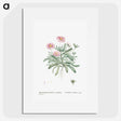 1-35_Histoire-des-Plantes-Grasses_picture