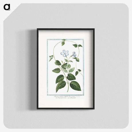 1-35_Hortus-Romanus-Botanical-Plates_blk