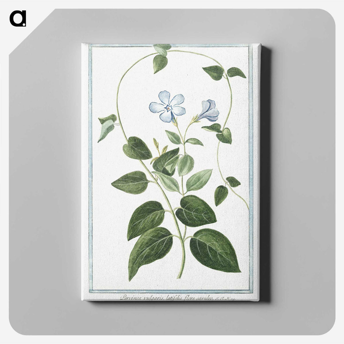 1-35_Hortus-Romanus-Botanical-Plates_canvas