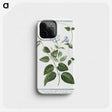 1-35_Hortus-Romanus-Botanical-Plates_phone