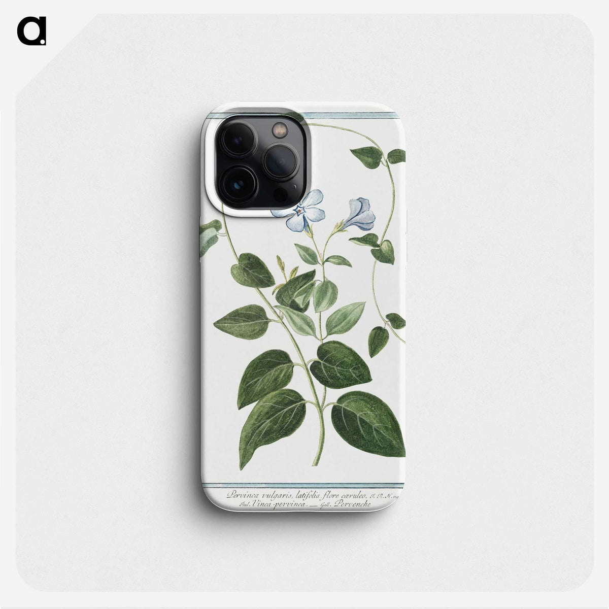 1-35_Hortus-Romanus-Botanical-Plates_phone