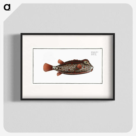1-35_Ichtyologie-ou-Histoire-naturelle_blk
