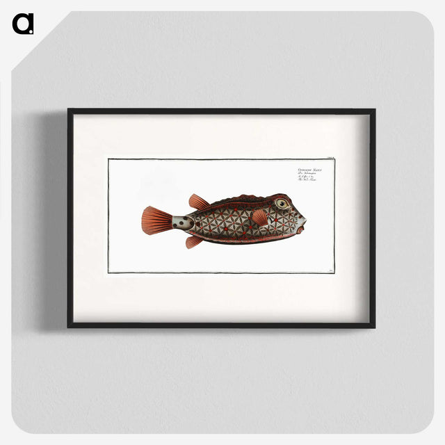 1-35_Ichtyologie-ou-Histoire-naturelle_blk