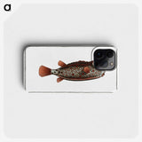 1-35_Ichtyologie-ou-Histoire-naturelle_phone