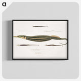 1-35_Indian-Zoology_blk-crop