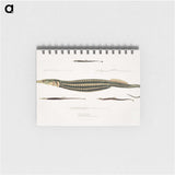 1-35_Indian-Zoology_memo