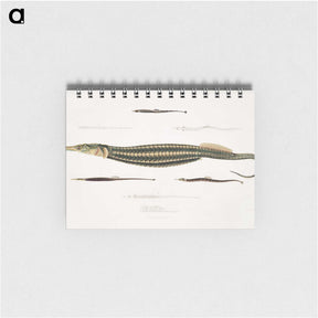 1-35_Indian-Zoology_memo