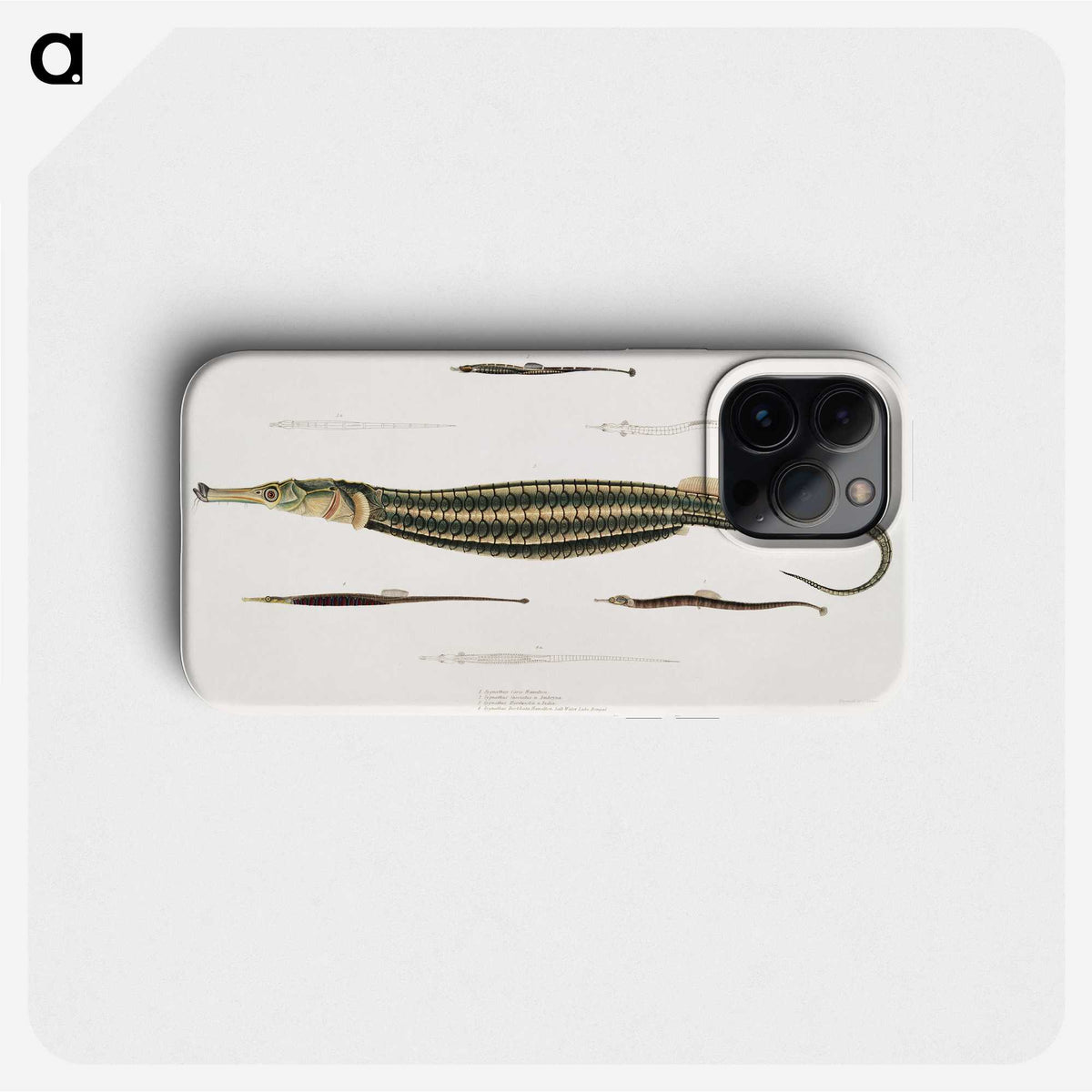 1-35_Indian-Zoology_phone
