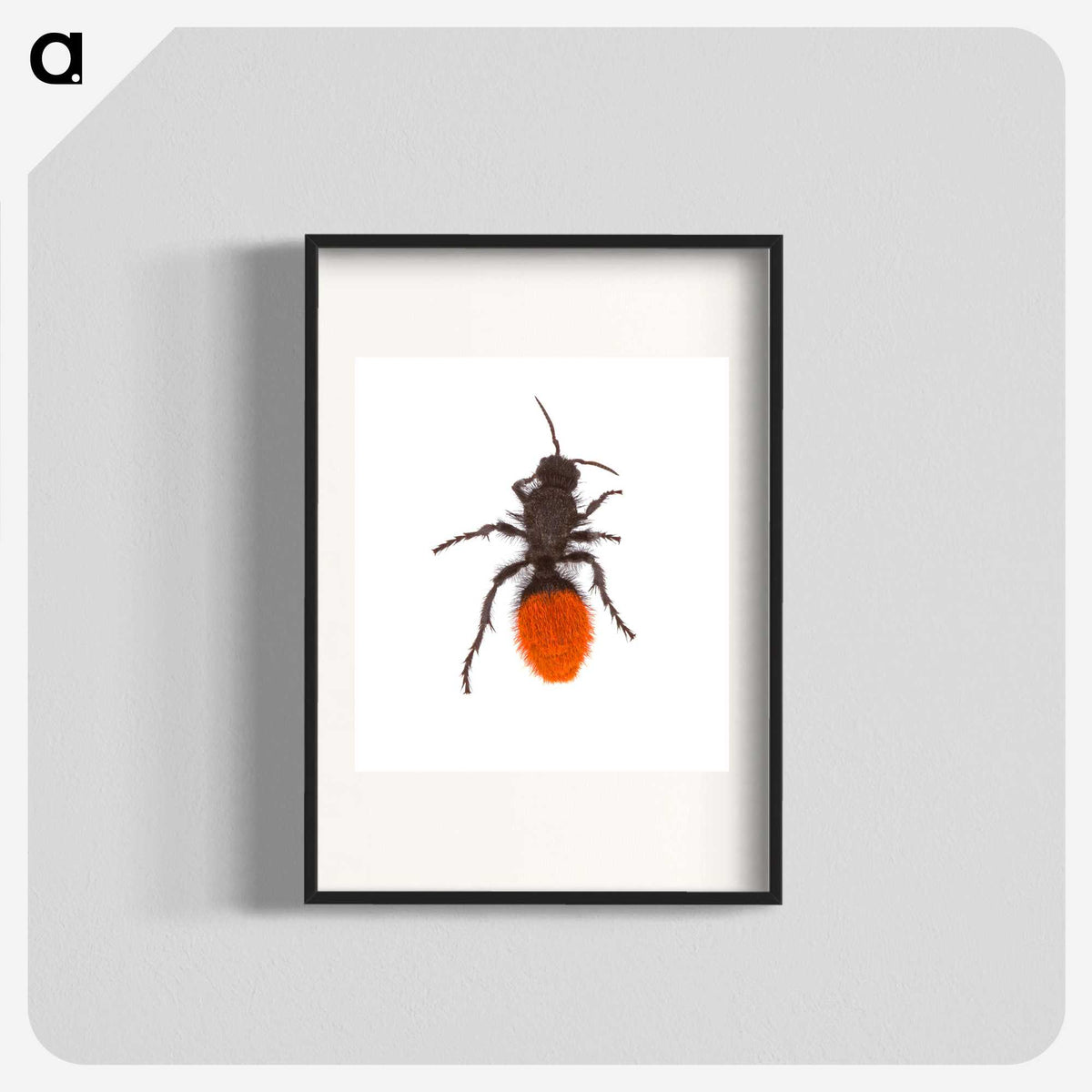 1-35_Insects-Unlocked-Project_blk