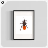 1-35_Insects-Unlocked-Project_blk