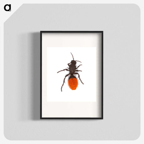 1-35_Insects-Unlocked-Project_blk