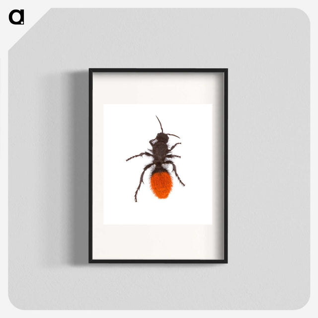 1-35_Insects-Unlocked-Project_blk
